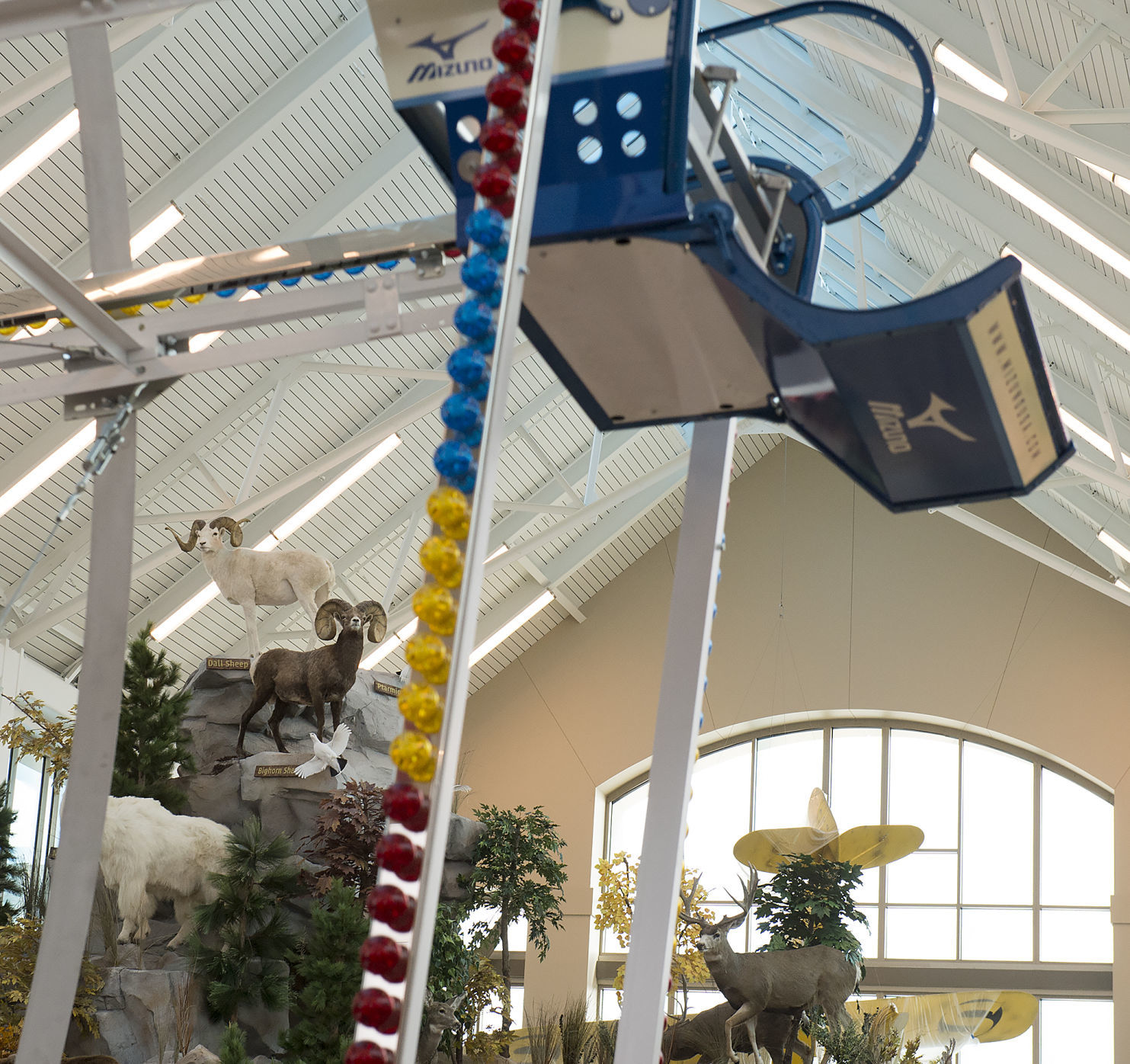 Scheels Ferris wheel